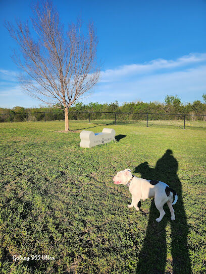 Ardmore Dog Park