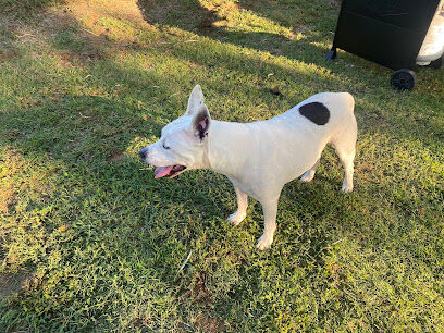 Dog Park at Love's Travel Stops