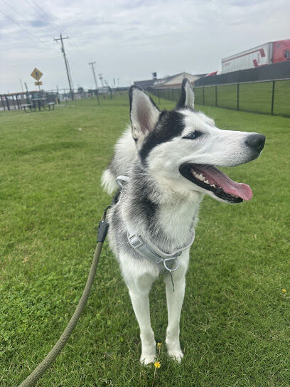 Dog Park at Love's Travel Stops