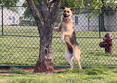 Bark Park