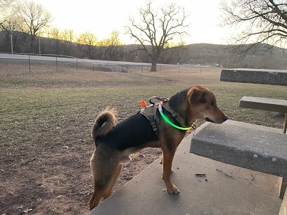 Medicine bark dog park