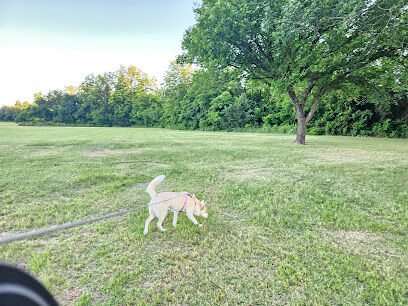 The Vito Baxter Puppy Promenade