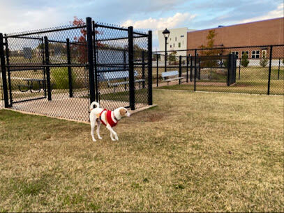 Domino Dog Park