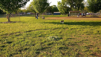 Stillwaggin' Dog Park