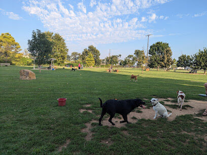 Joe Station Dog Park