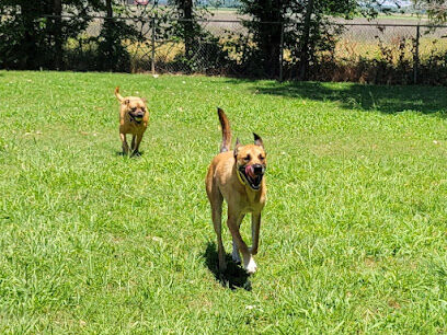 Pets and People Dog Park