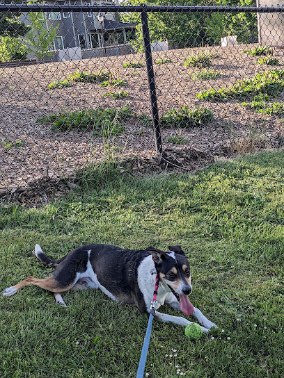 Dog Park
