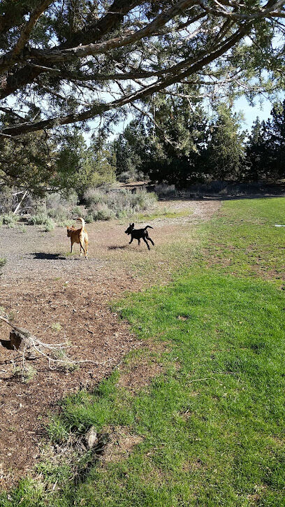 Big Sky Park Off-Leash Dog Area