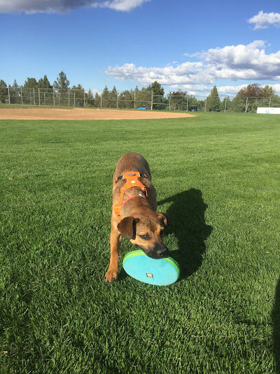 Big Sky Park