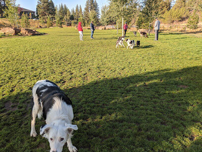 Discovery Park Dog Park