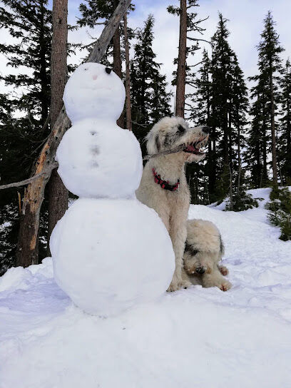 Mt. Bachelor Dog Park Off-Leash Area