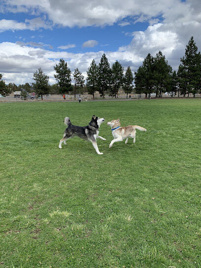 Pine Nursery Dog Park
