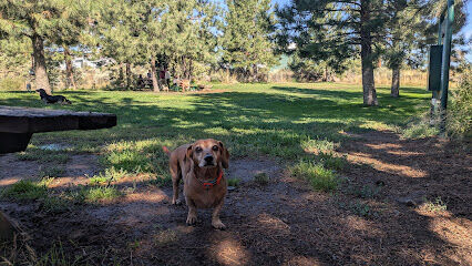 Ponderosa Park Dog Park (off leash area)