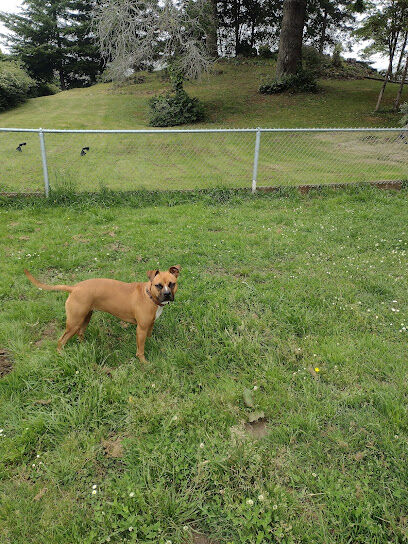 Stout Dog Park