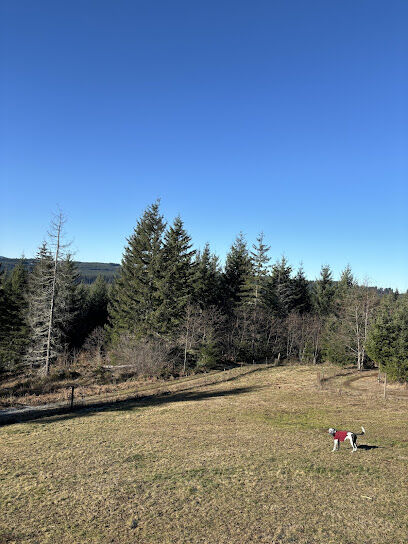 Pet Exercise Area