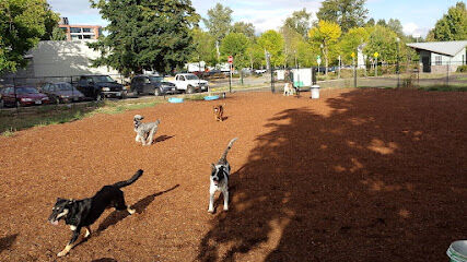 Corvallis Dog Park
