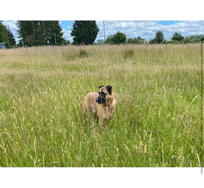Coast Range Sniffspot / Rome private dog park