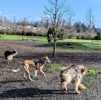 Alton Baker Dog Park