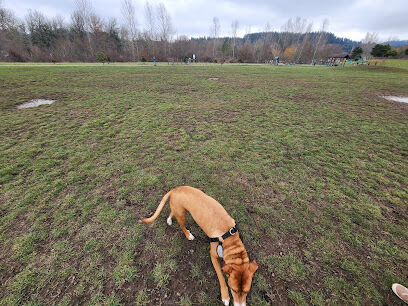 Amazon Dog Park