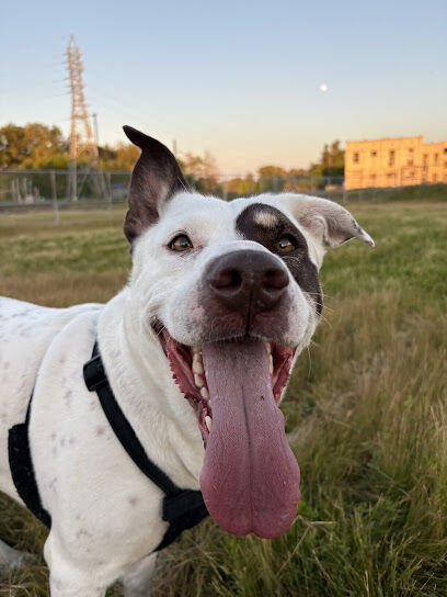 Eugene River District Resident Dog Park