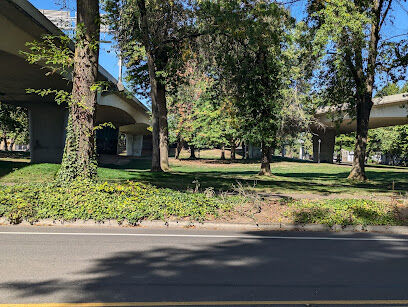Washington Jefferson Dog Park