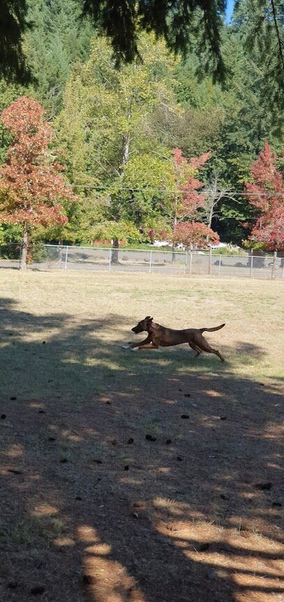 Sunnyside Off-Leash Dog Park