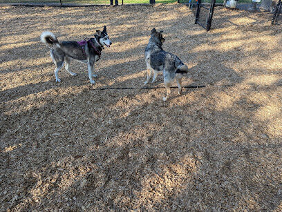 Main City Park - Dog Park