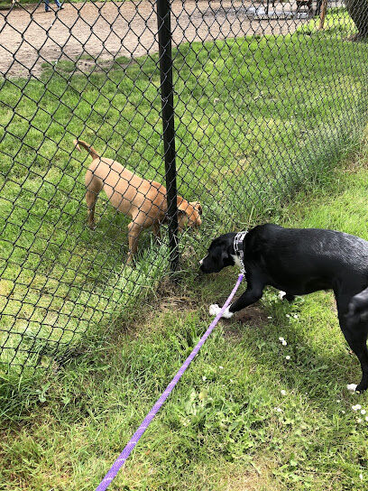 Warrenton Dog Park