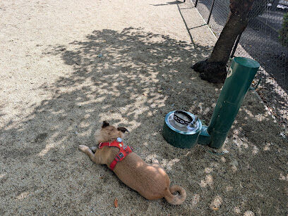 Dog Park
