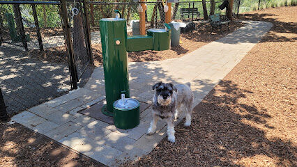 Jacksonville Dog Park