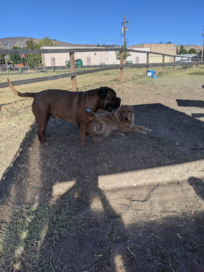 Dog Park at the OC&E Trail