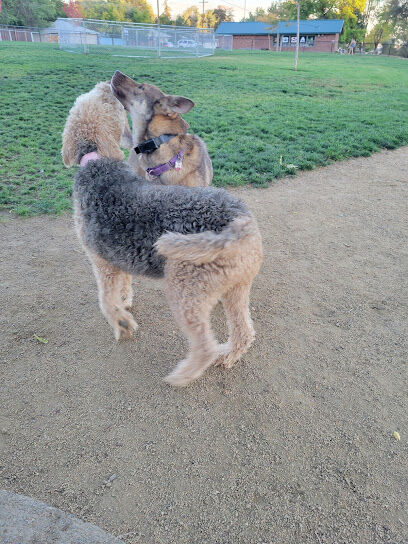 Eulalona Dog Park