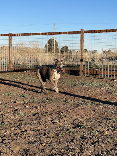 Sinclair's Dino-Dog Park