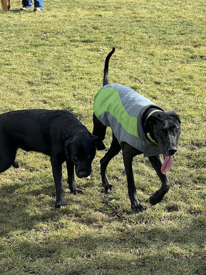 Riverside Dog Park