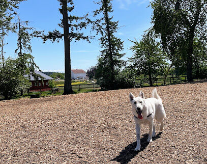 Hazelia Dog Park