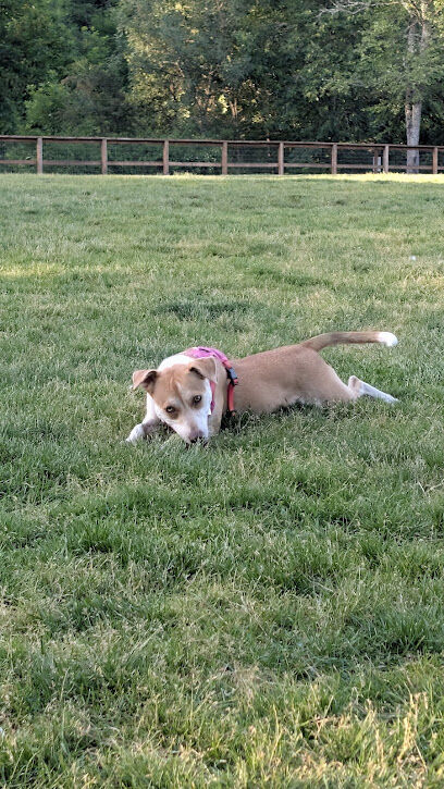 Waluga Dog Park