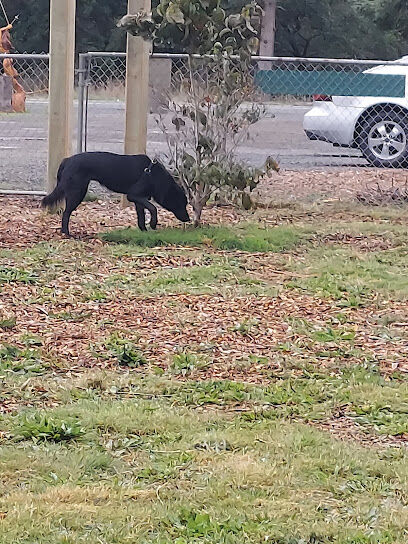 Chloe Anne Memorial Dog Park