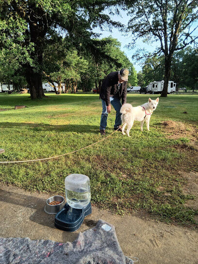 Waterloo Dog Park