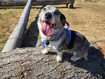Lincoln City Dog Park