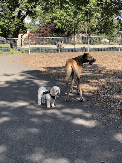 Hawthorne Park Dog Park