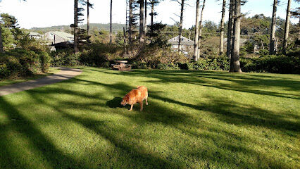 Agate Beach Neighborhood and Dog Park