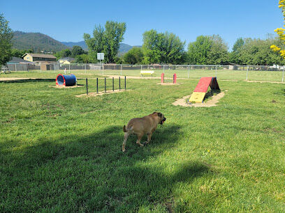 Blitz's Phoenix dog park