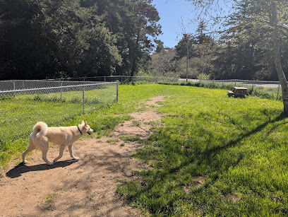 Dog park
