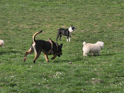 Dog Off-Leash Area