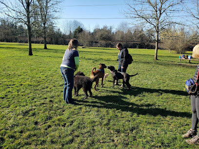Durham Park Off Leash area