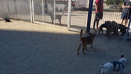 Fenced Off-Leash Dog Area