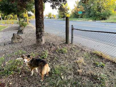 Fenced Off-Leash Dog Park