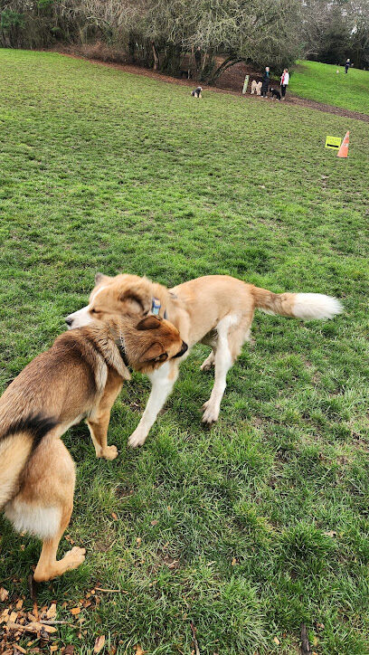 Hillsdale Off-Leash Dog Area