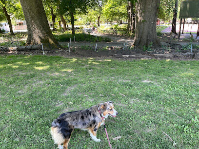 Irving Park Dog Park