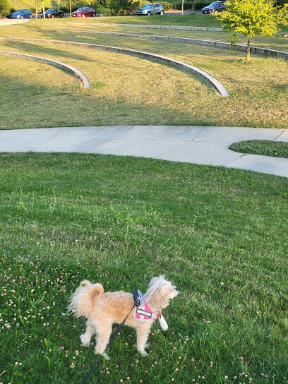 Luuwit View Dog Park